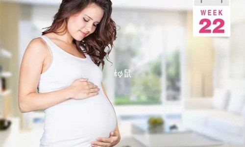 孕妇玫瑰花茶可以喝吗-孕妇玫瑰花泡水可以喝吗专区_孕妇玫瑰花泡脚的功效与作用专区_孕妇玫瑰花网