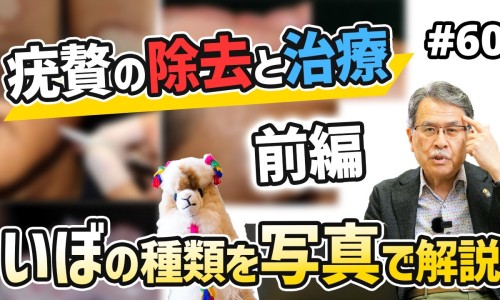 孕妇玫瑰花茶的功效与作用-孕妇玫瑰花泡水可以喝吗专区_孕妇玫瑰花泡脚的功效与作用专区_孕妇玫瑰花网