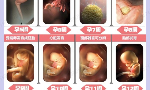 孕妇玫瑰花泡水可以喝吗专区_孕妇玫瑰花泡脚的功效与作用专区_孕妇玫瑰花网